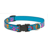 Wet Paint 3/4" Adjustable Dog Collar