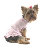 Embroidered Flower Dog T-shirt with Scalloped Edge