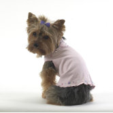 Sequin Dog T-Shirt