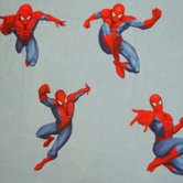 Spiderman Jump Lined Single Curtain