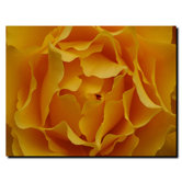 Hypnotic Yellow Rose by Kurt Shaffer, Canvas Art - 35" x 47"