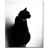 Chat Noir by Tammy Davison, Canvas Art - 32" x 26"