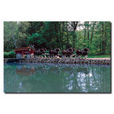 Clydesdales On Green Pond Canvas Art