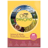 Beyond Salmon / Brown Rice Cat Food (16-oz, case of 12)