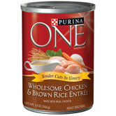Wholesome Chicken / Brown Rice Wet Dog Food (13-oz, case of 12)