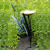 Single Cattail Birdbath