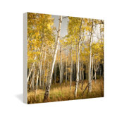 Bird Wanna Whistle Aspen Gallery Wrapped Canvas