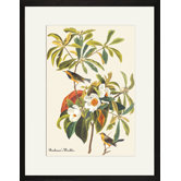 Bachman's Warbler Framed and Matted Print