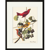 Summer Tanager Framed and Matted Print