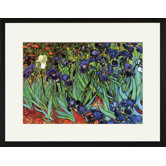 Irises Framed and Matted Print