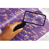 Everyday Essentials Folding Rectangular Magnifier