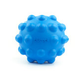 Bumpi Dog Toy