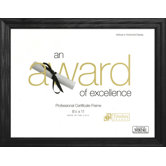Rounded Ash Document and Award Frame