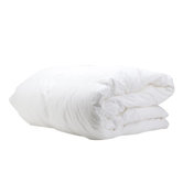 Sharyl Down Comforter