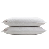 Gwen Down Pillow (Set of 2)