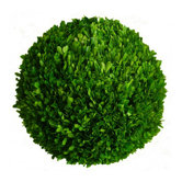 Boxwood 22" Ball