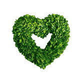 Boxwood Single Side Heart