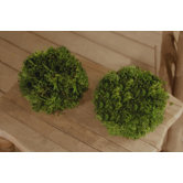 Cypress Ball