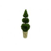 Boxwood Double Sphere and Cone Topiary