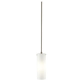 1 Light Pendant