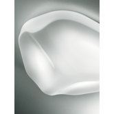 Trex Wall / Ceiling Light