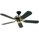 Black Magic Ceiling Fan