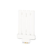 Compact Fluorescent Bulb