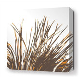 Thatch Stretched Wall Art in Sunshine
