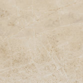 Emperor 12" x 12" Field Tile in Caesar
