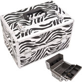 Professional Cosmetic Train Case