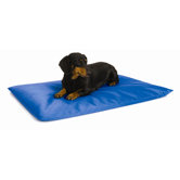 Cool Dog Bed III� in BLUE
