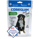 Soft Chews Plus MSM for Dog (60 Count)