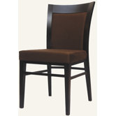 Designer Jordon Side Chair