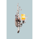 Cottonwood One Light Wall Sconce in Aged Silver