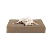 Luxury Memory Foam Dog Bed with Taupe Microfiber Cover