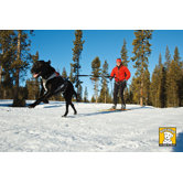 Omnijore Dog Joring Harness