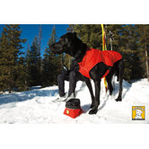 Quinzee Insulated Dog Jacket