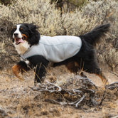Swamp Cooler Dog Cooling Vest