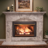 Inspiration Direct Vent Fireplace Insert