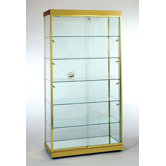 Spacious Glass Rectangular Wall Case