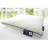 SuperiorSilk Pillow