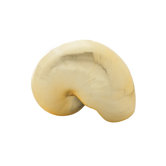 Resin Nautilus Shell Ornament