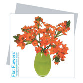 Flat Flowers Greetings in Windlily
