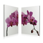 Pink Orchid Wall Art