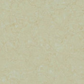 Crema 12" x 24" Floor and Wall Tile in Nova