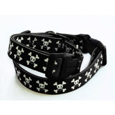 Paul Frank Signature Skurvy Dog Collar