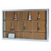 AARCO Display Cases
