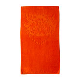 Fox Beach Towel