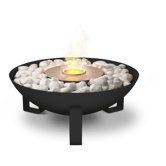 Dish Fire Pit