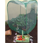 Pop-Up Brassica Cage